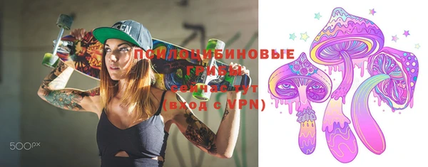 PSILOCYBIN Алзамай
