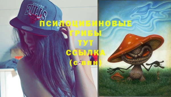 не бодяженный Арсеньев